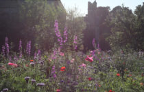 5 Glossy Things To Do This Weekend