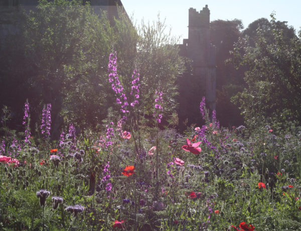 The-Gloss-Magazine-5GT-Lismore-Gardens