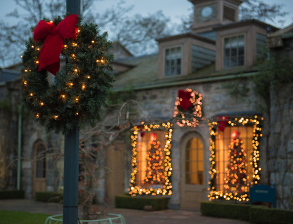 The-Gloss-Magazine-Cliff-at-Lyons-1