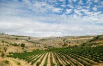 The Luxury of Ribera Del Duero