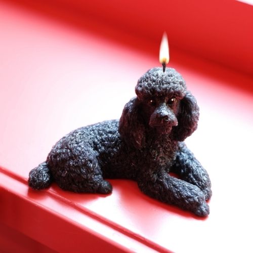 The Gloss Magazine-Gift Guide-Pet Lovers-10