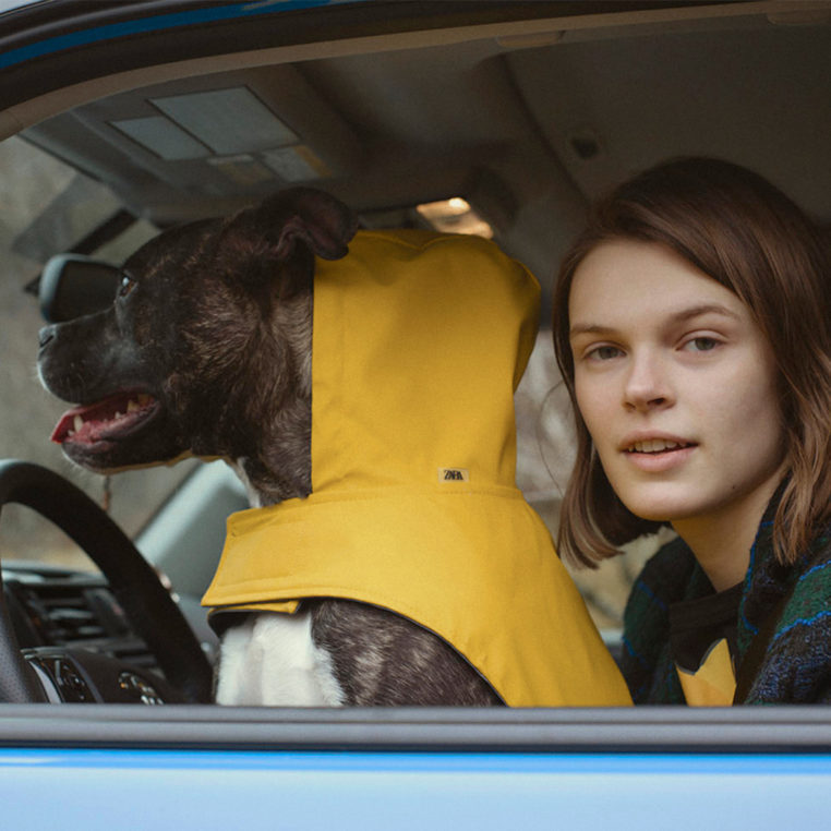 Zara Just Let the Dogs Out See and Shop The New Pet Collection The