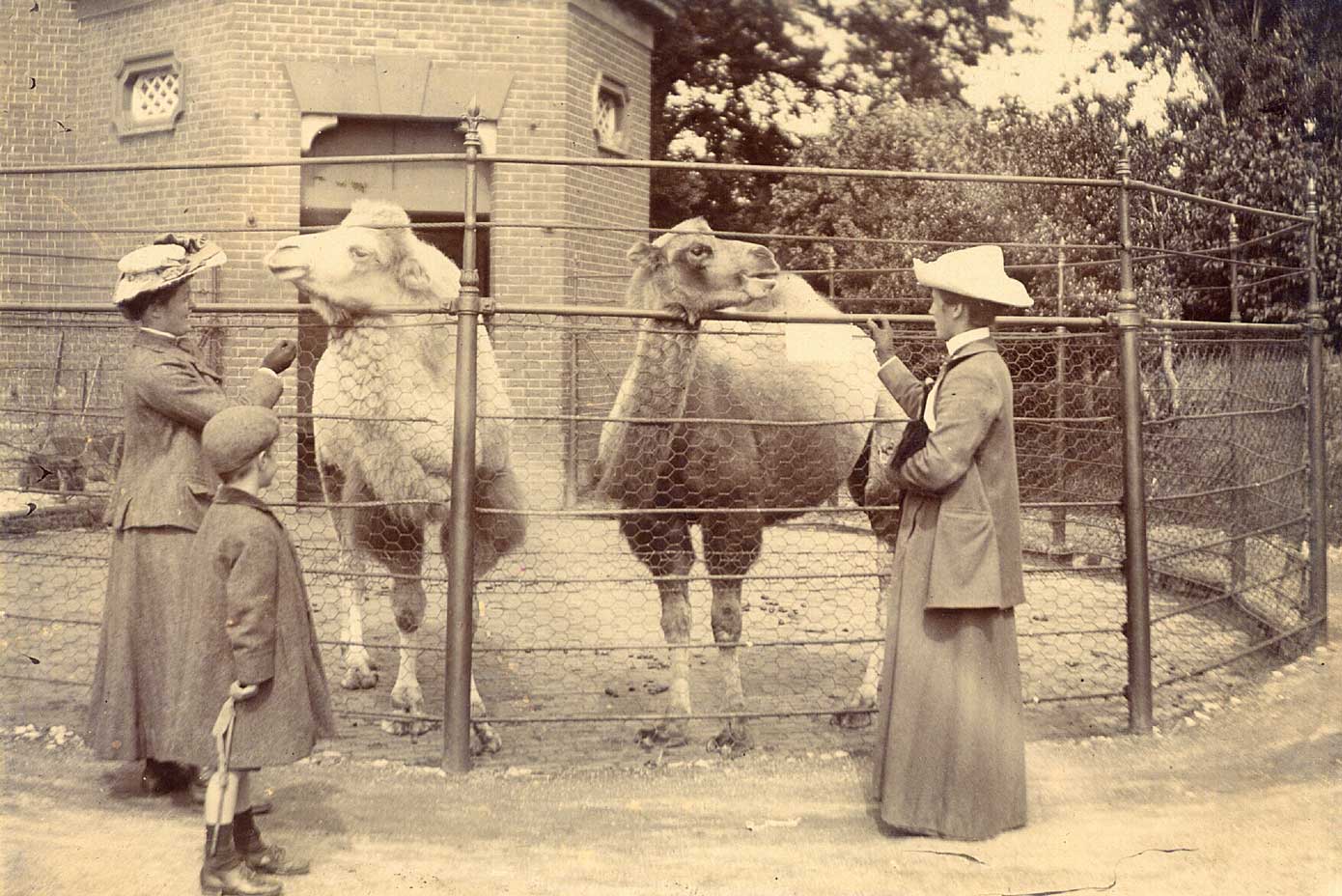 The-Gloss-Magazine-Glossy-things-Dublin-Zoo