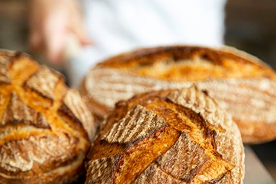 Bread 41