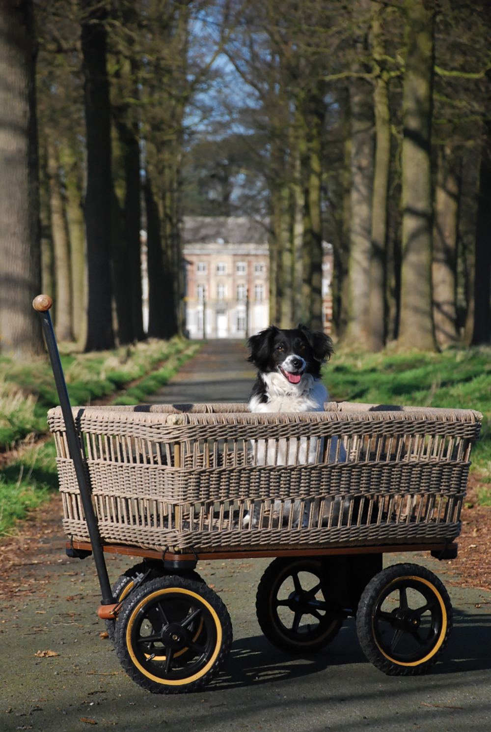 wicker wagon