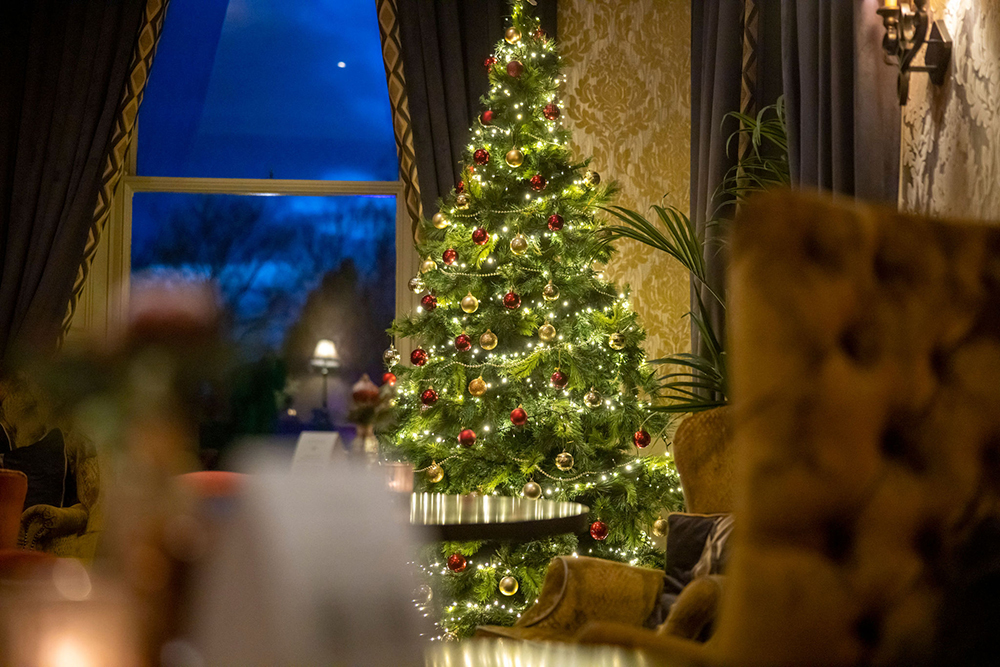 Hotel Christmas Trees-3