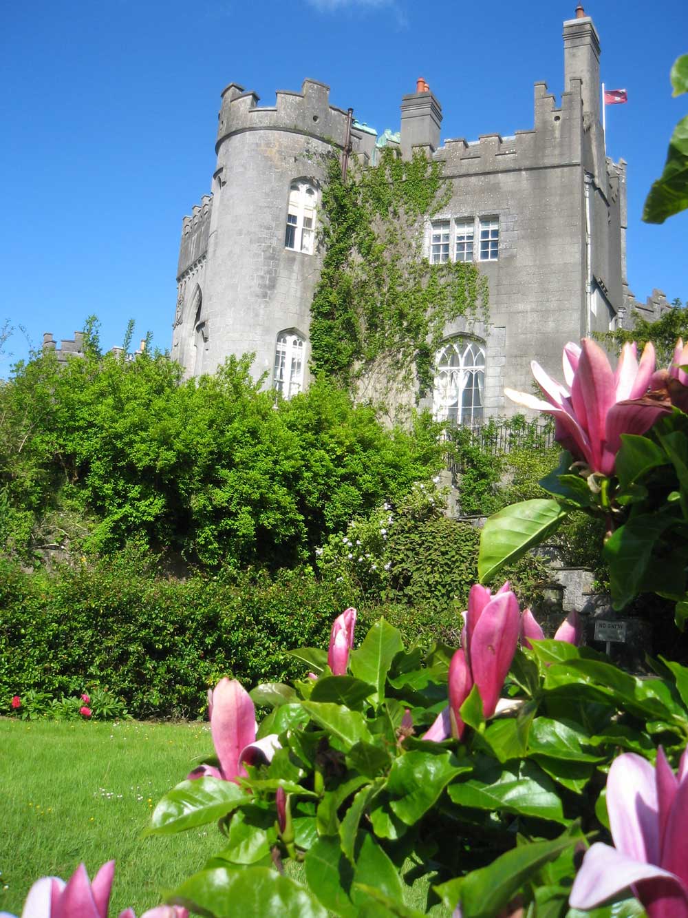 5 Gardens in Ireland To Visit Over Easter The Gloss Magazine
