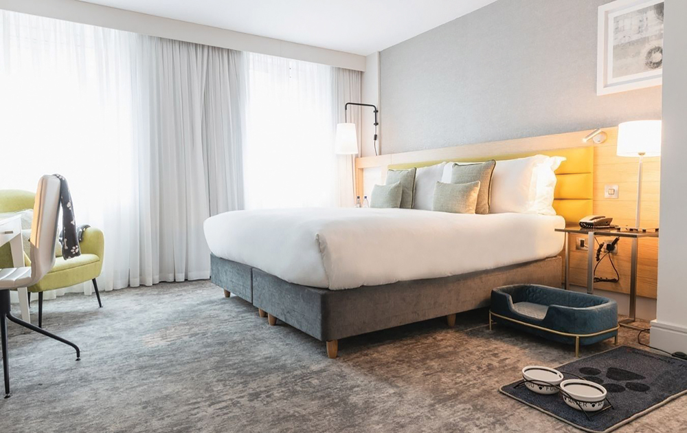 Dog-Friendly-Room