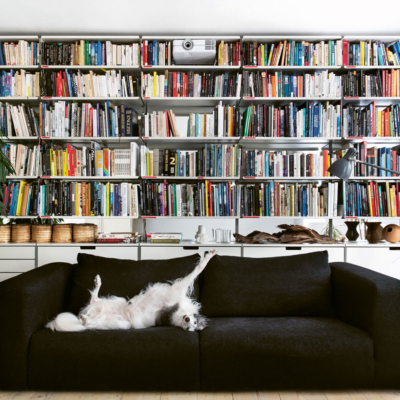 It’s A Dog’s Life: Inside A Modern Georgian Townhouse In London