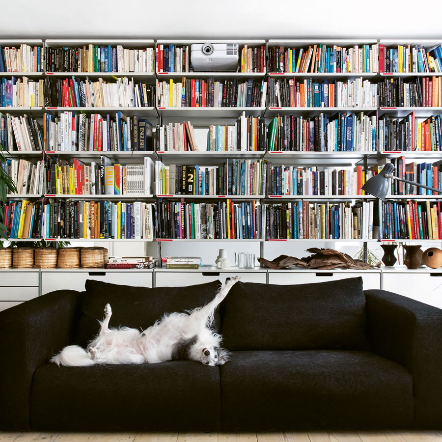 It’s A Dog’s Life: Inside A Modern Georgian Townhouse In London