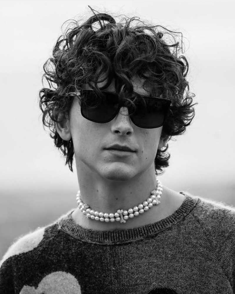 Men---chalamet