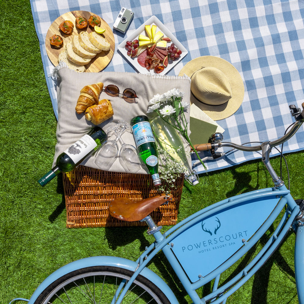 Powerscourt-Picnic