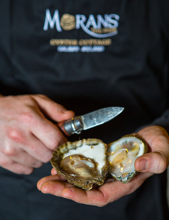 Oyster---Morans-oysters