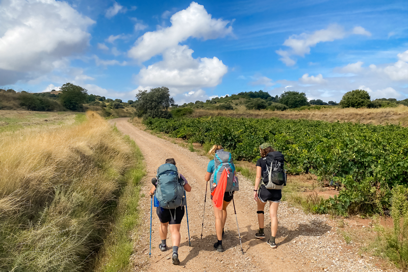 Your Guide To Europe S Best Walking Trails In 2024 The Gloss Magazine   Camino Spain 