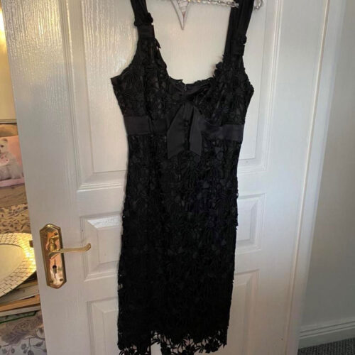 The Story of A Dress Symbolic Dresses, The Best Dressed and A Very