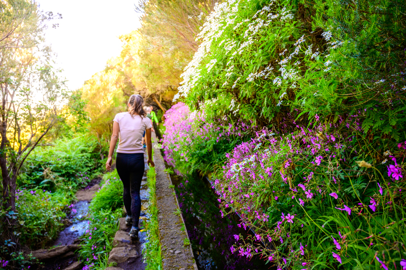 Your Guide To Europe S Best Walking Trails In 2024 The Gloss Magazine   Madeira 