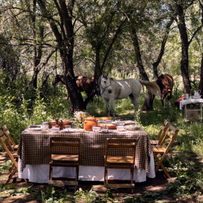 Domini Kemp: My Andalusian Adventure On Horseback