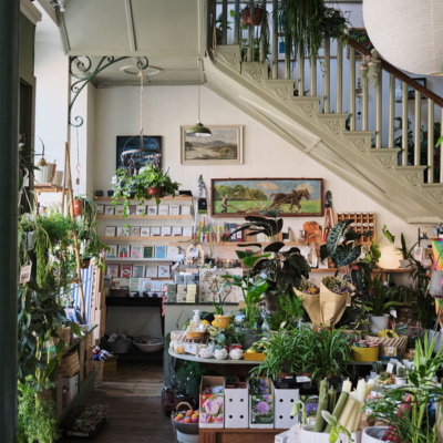 Find The Best Plant and Flower Shops In Ireland 2024