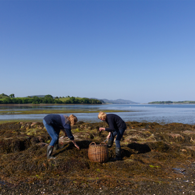 The West Cork Seaweed-Powered Bath And Body Line Making Waves