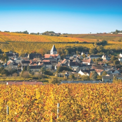 Six Sancerre-ly Good Wines From The Loire Valley In France