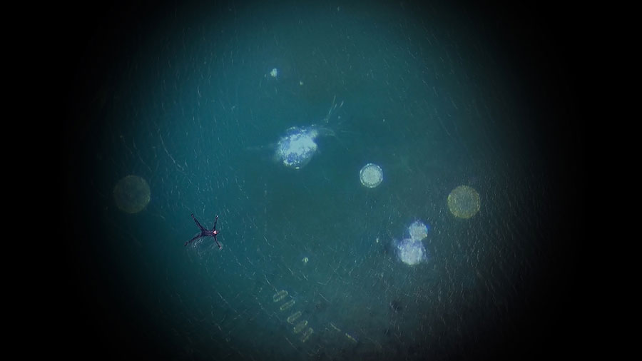 20.Rachel-Joynt,-Invisable-Becomes-Visable,-film-still,-drone-footage-of-Lough-Hyne-overlayed-with-microscopic-footage-of-water-sample-