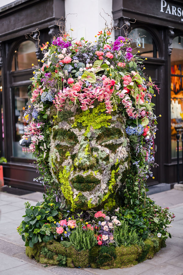 Belgravia-in-Bloom-37