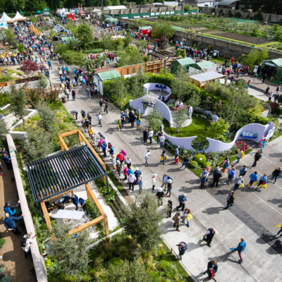 Blooming Marvellous: 10 Things To See And Do At Bord Bia Bloom