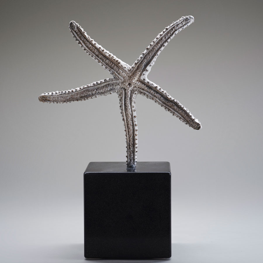 Artistic License: Rachel Joynt RHA