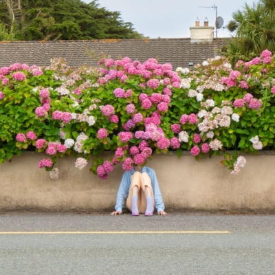 Artistic License: Niamh Swanton