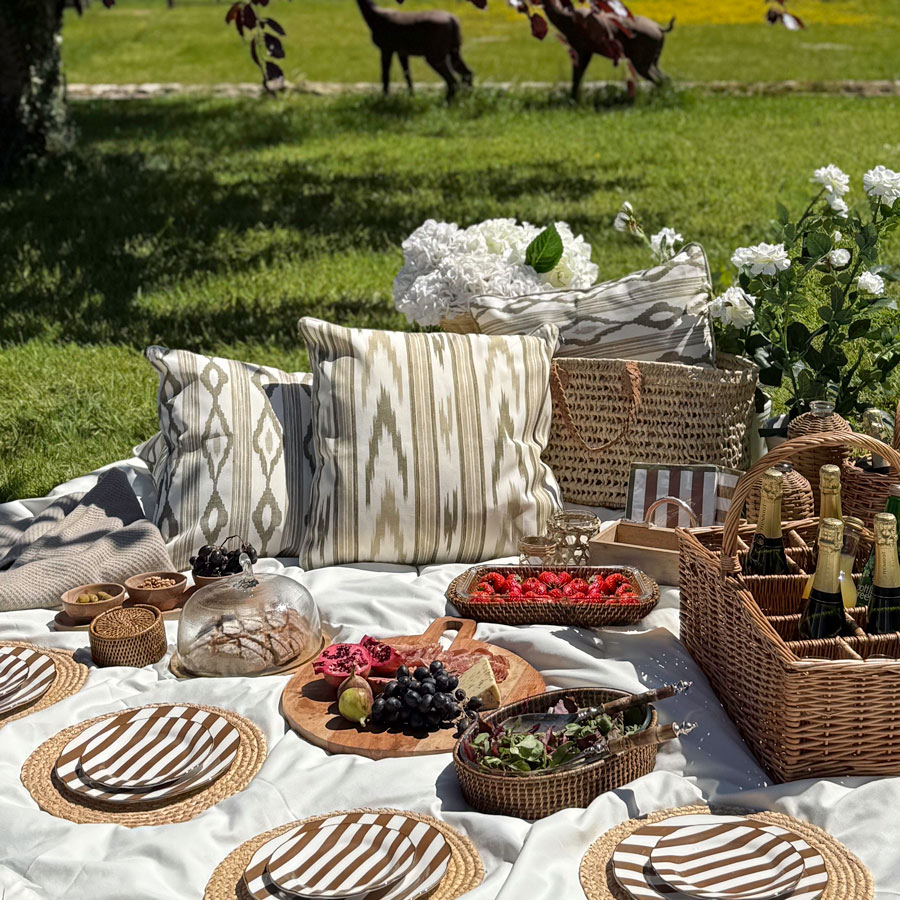 Picnic---Holder-
