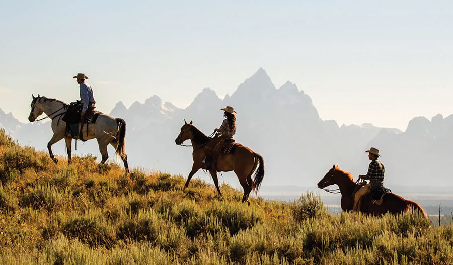 5-Wyoming-Cowboys-1920x650-1-copy