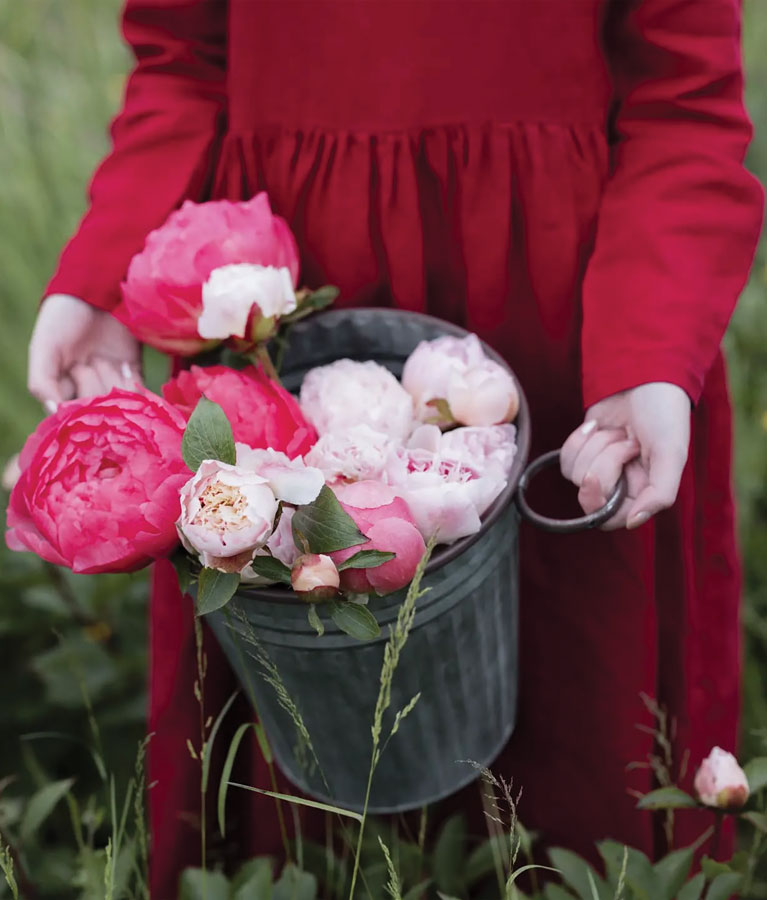 Belle-Meadow