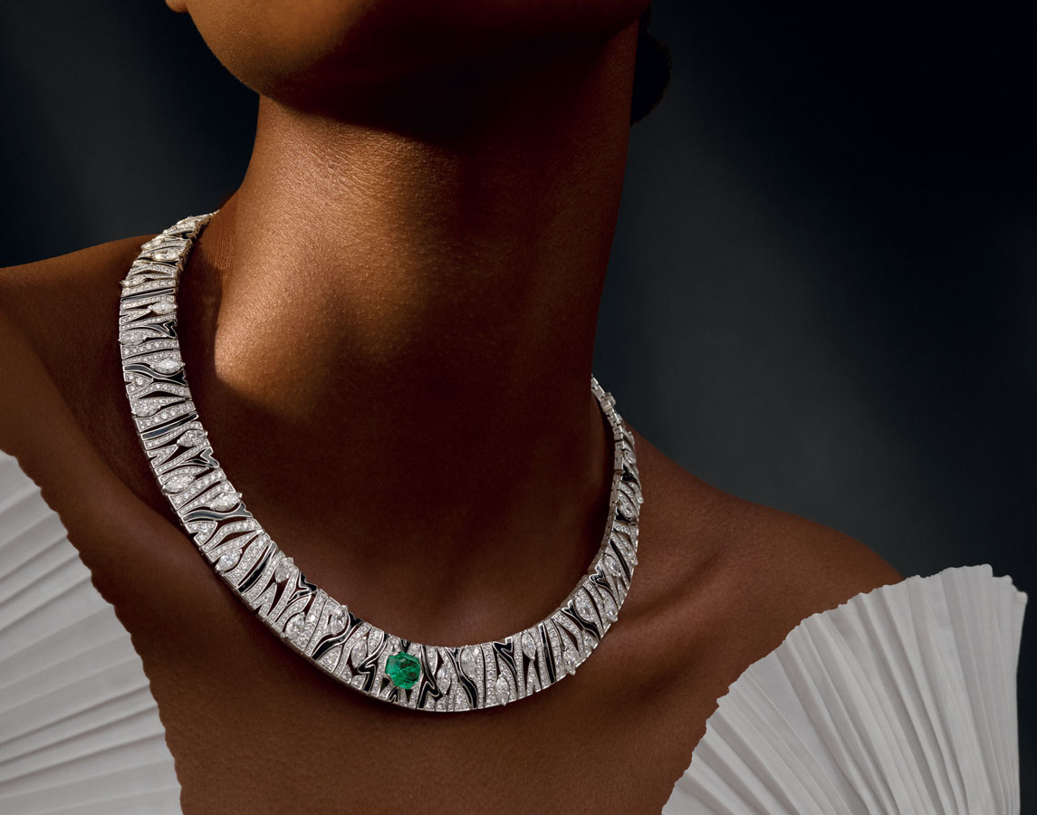 Boodles-Zebra-collar