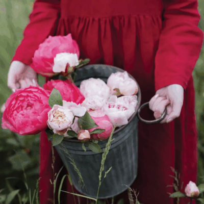 In Bloom: The Best Flower Farms To Visit In Ireland