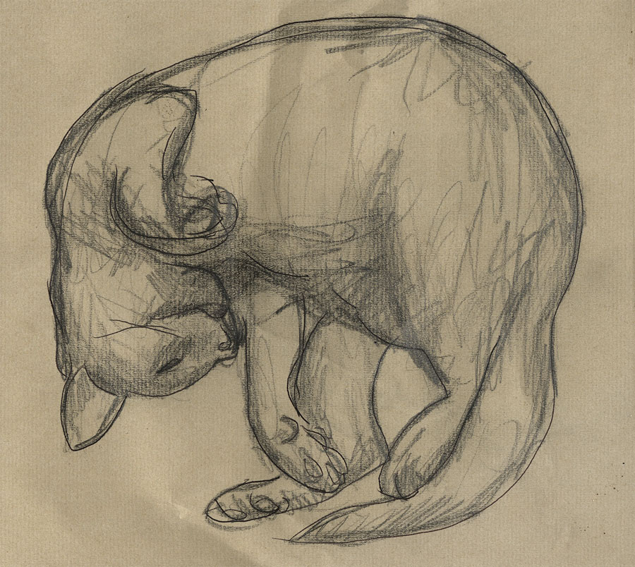 Fallon,-'Sketch-of-a-Cat'