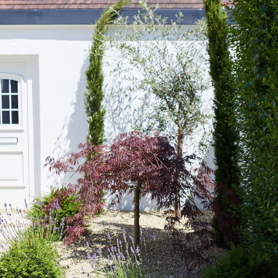 How To Create A Mediterranean-Inspired Urban Garden