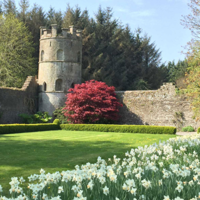 7 Glossy Weekend Ideas For Everyone In The Family