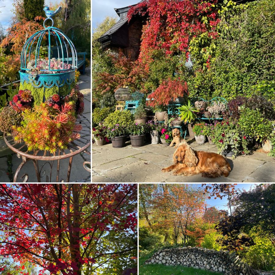 A Special Private Garden To Visit This Weekend