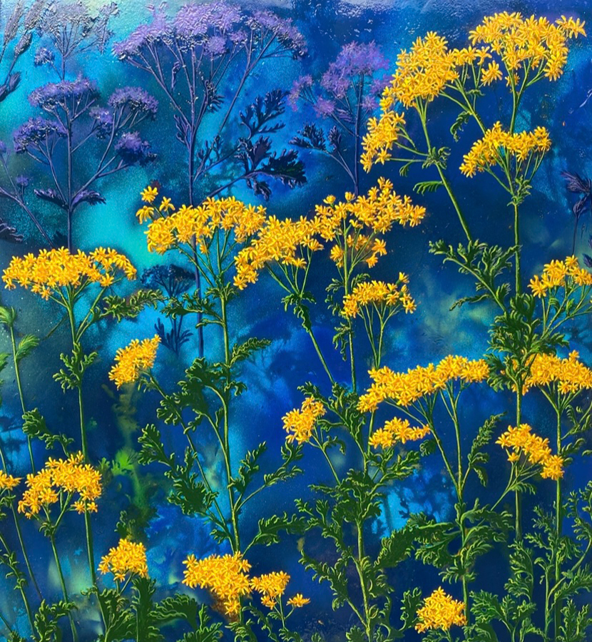 Blazing-Ragwort-60X60cm-Acrylic-with-oil-glazes-on-aluminium-