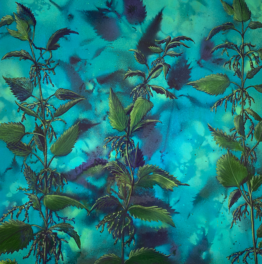 Butterfly-Nursery--(2)