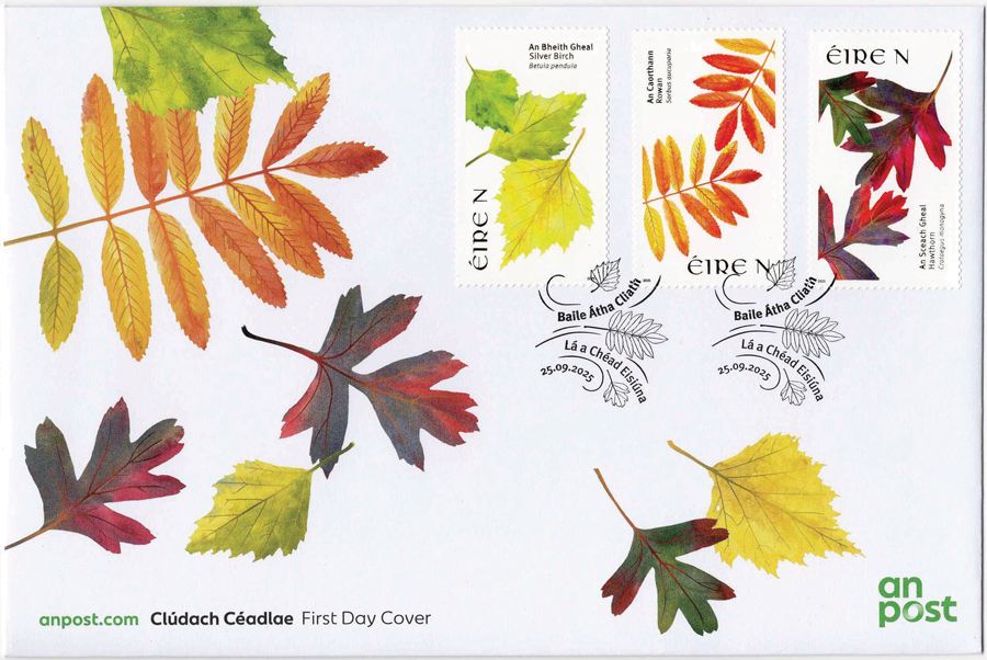 FDC-sept2025