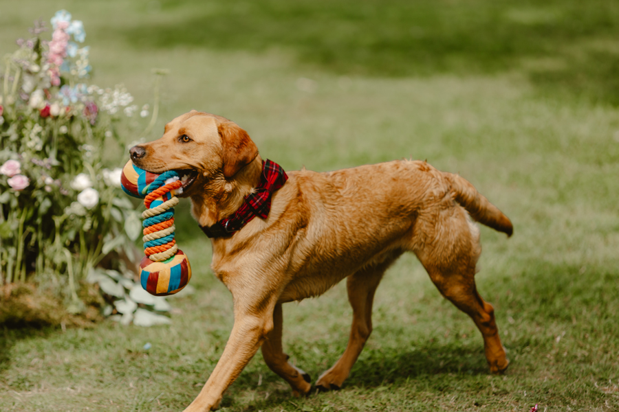 Judith-&-Andy's-Wedding-by-Ricky-Parker-Photography-472