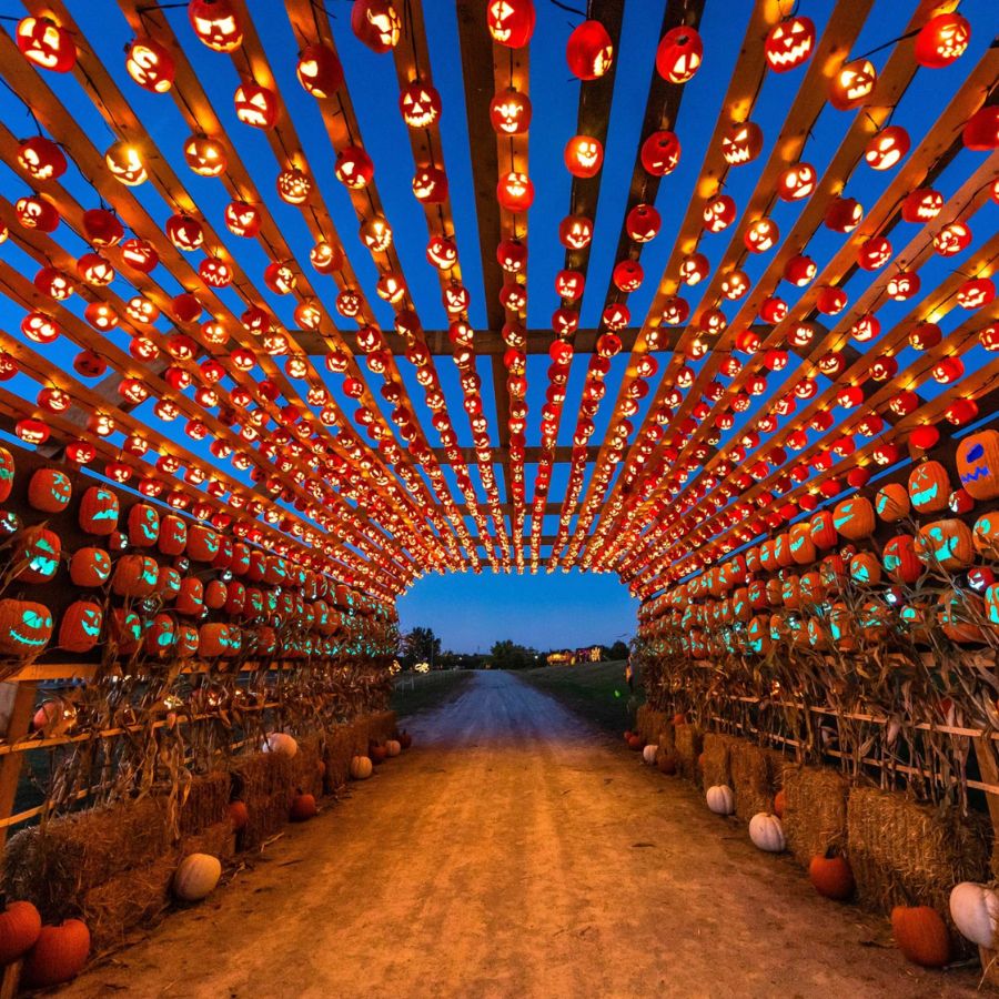 7 Spooktacular Activities Around Ireland For Halloween