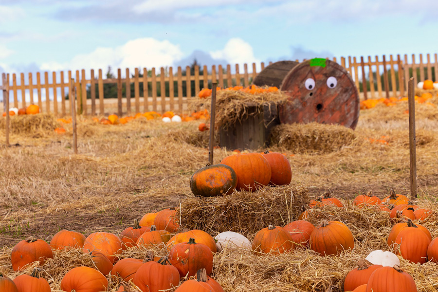 Secret-Wildlife-Park