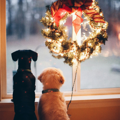 Books To Help Navigate Grief At Christmas Time