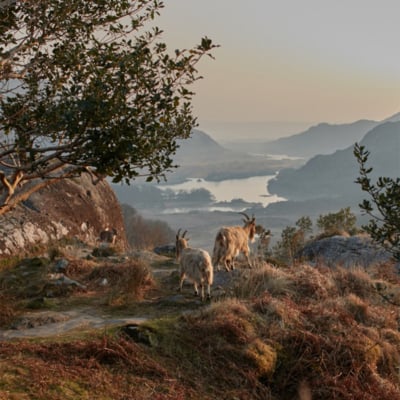 The Best National Parks In Ireland – Plus Where To Refuel