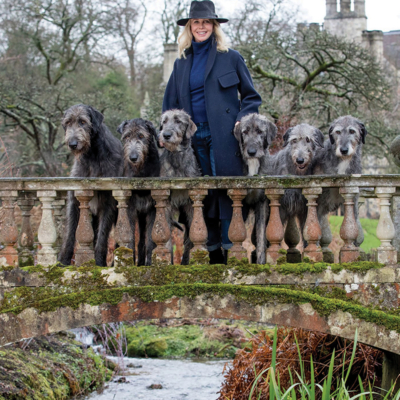 A Dog's Life: These Lucky Dogs Live In Seriously Smart Houses