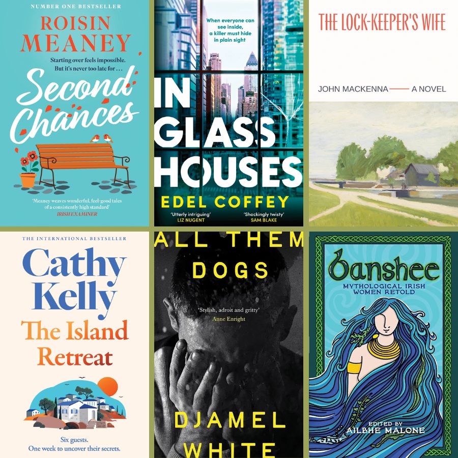9 Of The Best New Books By Irish Authors