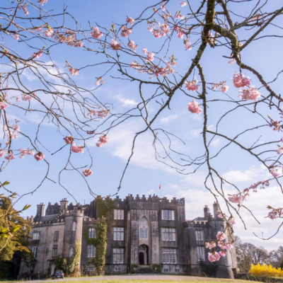 Blossom Chasers: Where To Go And Stay To Find The Best Blooms In The World