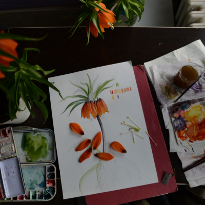 Artistic Licence: Botanical Artist Isik Güner 